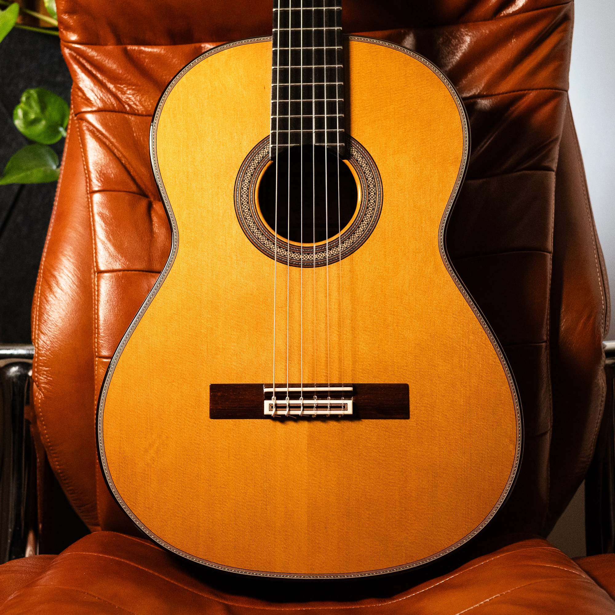 Sergio Perez Segovia